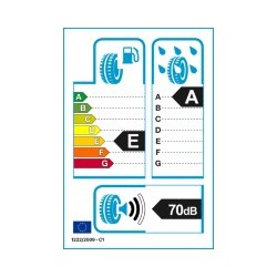 VREDESTEIN: VREDEST. SP-TR5 175/50 R16 81 H XL