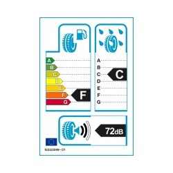 EVERGREEN: EVERGREE EW66 205/55 R16 91 H