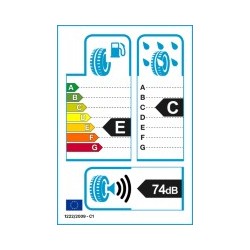 EVERGREEN: EVERGREE EW66 225/65 R17 102S