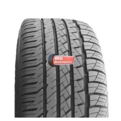 GOODYEAR: GOODYEAR SPO-AS 245/50 R20 105V XL