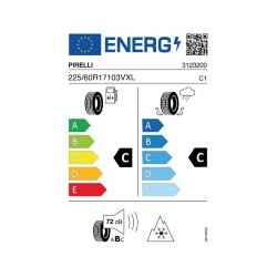 PIRELLI: PIRELLI S-WNT 225/60 R17 103V XL