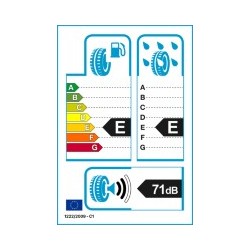 TRACMAX: TRACMAX S210 185/50 R16 81 H