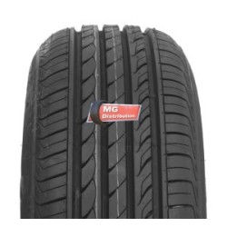 DELINTE: DELINTE DH2 195/65 R15 91 V