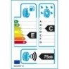 EVERGREEN: EVERGREE EW66 235/45 R17 94 H