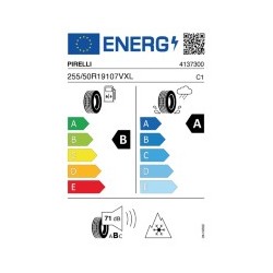 PIRELLI: PIRELLI SC-WI2 255/50 R19 107V XL